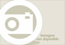 trattore usato New Holland TS 110