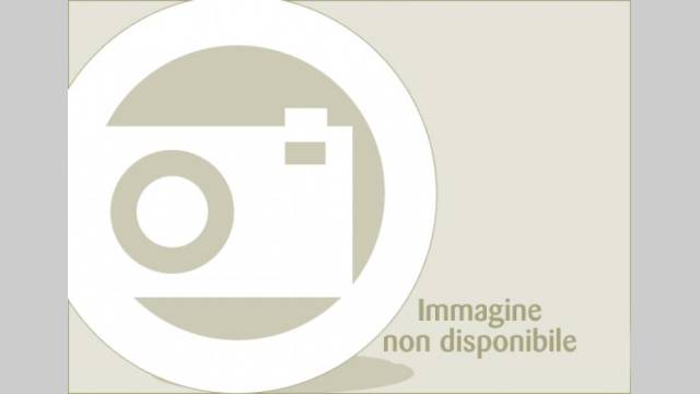varie TAGLIABORDI ALCO MOD. 250, Attrezzo agricolo