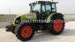 CELTIS 446
