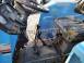 LANDINI 5830