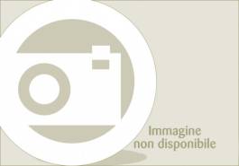 varie TAGLIABORDI ALCO MOD. 250, Attrezzo agricolo